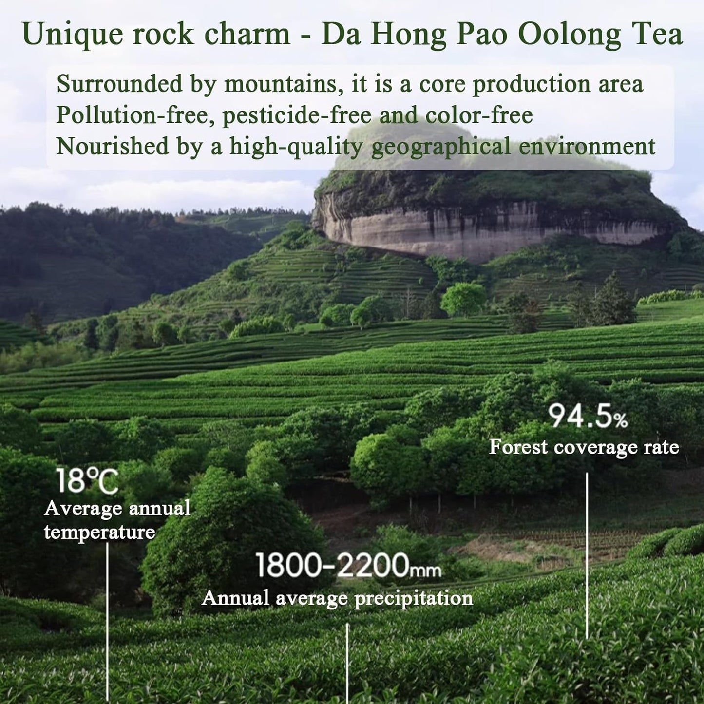 Lingyunxi Dahongpao Oolong Tea Loose Leaf Da Hong Pao Tea Big Red Robe Oolong Tea Rock Chinese Tea Wuyi Mountain Oolong 120g/4.23oz 大红袍 乌龙茶 武夷山岩茶