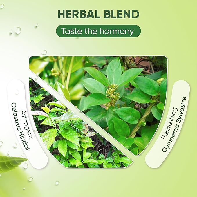 Nmpt Dried Gymnema Sylvestre Leaf Tea, Celastrus Hindsii, 100% Hand Pick, Organic Herbal Tea, 40 Count, Freeze Drying, Gluten Free, Dairy Free