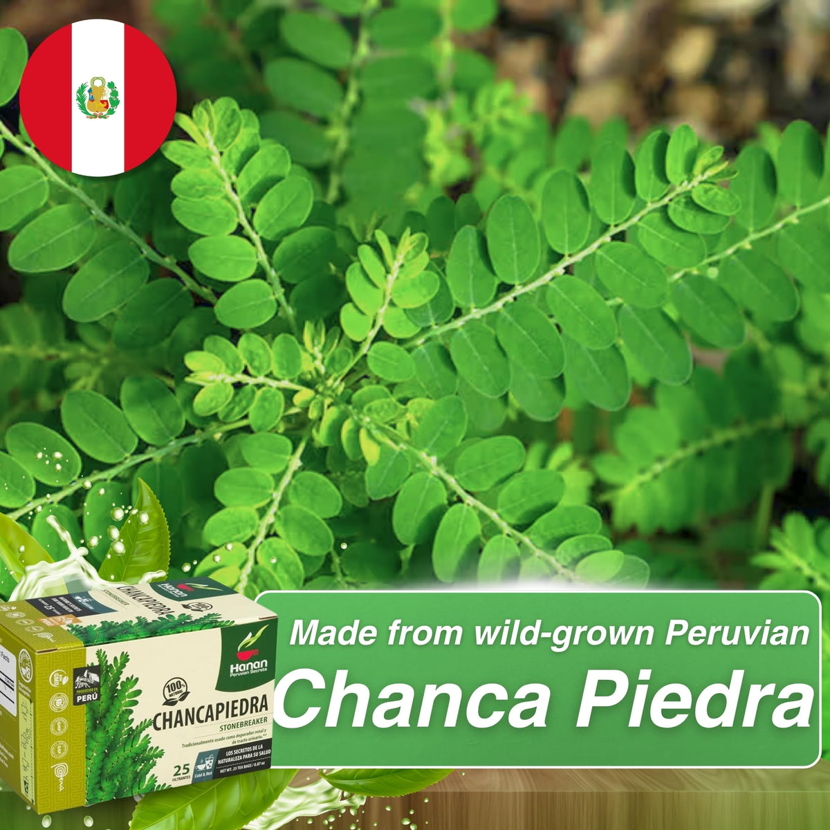 Peruvian Naturals Hanan Chanca Piedra Tea - 25 Teabags of Chanca Piedra Stone Breaker Tea Leaves Wild-Grown in Peru