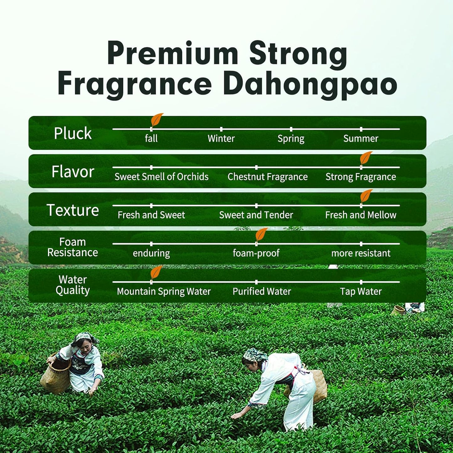 YUANSHENG Dahongpao Oolong Tea, Fujian Wuyi Rock Oolong Tea Loose Leaf with Nectar Aroma, Dark and Moist, Natural High Mountain Chinese Tea Dahongpao Big Red Robe 1.76Oz (50g) 特级大红袍 乌龙茶 中国功夫岩茶