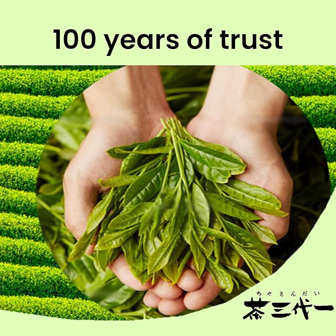 Chasandai Yuzu Citrus Hojicha Teabags - Premium Roasted Green Tea with Natural Yuzu Powder, No Artificial Flavors or Colors, 8 Tea Bags, Made in Japan