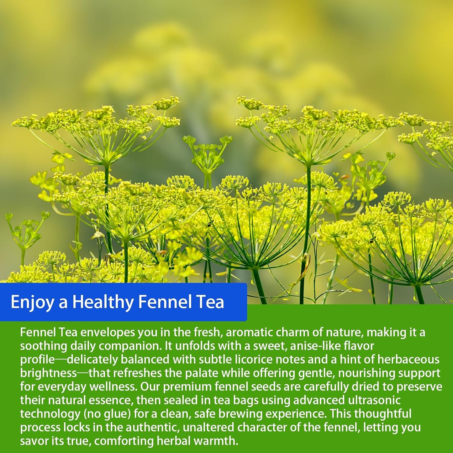 Samcci Fennel Tea Bags, 40 Count (4g/bag), Whole Fennel Seeds
