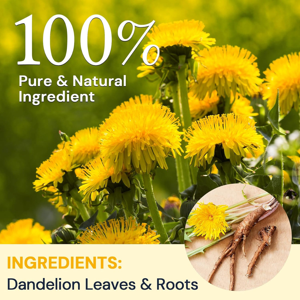 Dandelion Leaf & Root Herbal Tea - Caffeine Free