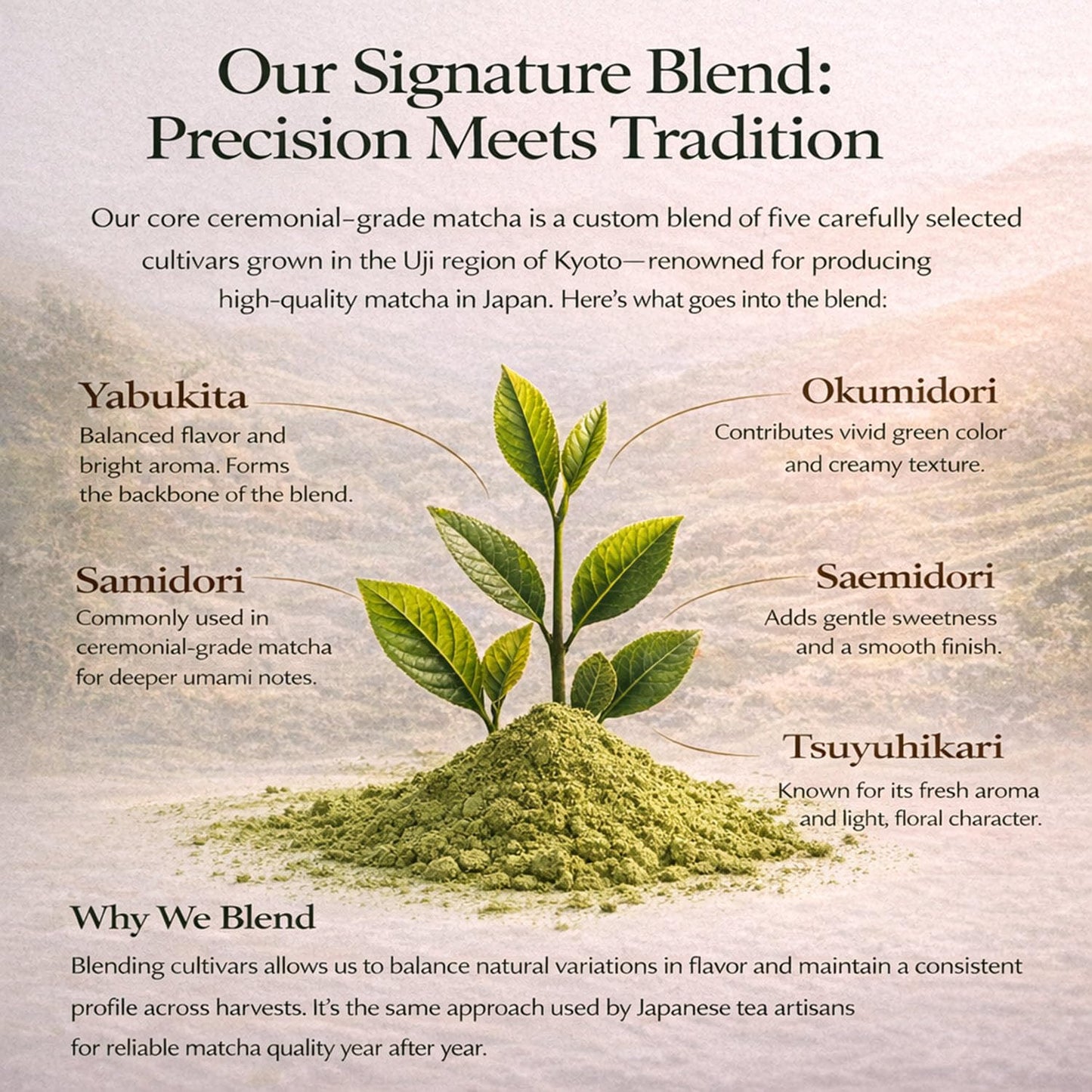 Kyoto Dew Matcha Organic Ceremonial Grade Matcha Powder 30g | Organic Ceremonial Grade Matcha from Uji, Kyoto, Japan