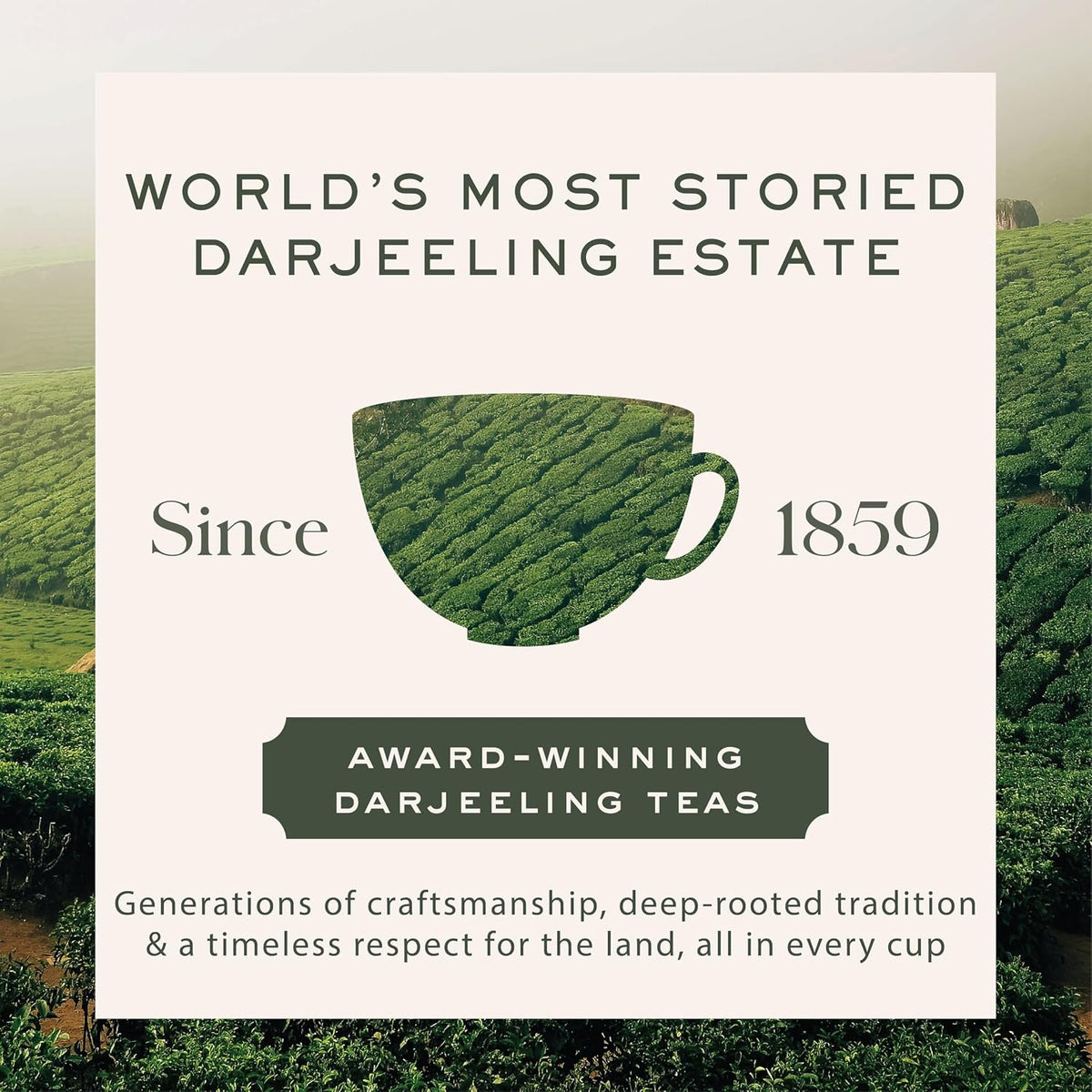 Makaibari Darjeeling Black Tea, Organic Loose Leaf Bulk Pack, 250g (8.81oz, ~125 Cups) | USDA Organic Single-Estate Black Tea from World's First Certified Organic Tea Garden - Biodynamic, Caffeinated, Champagne of Teas