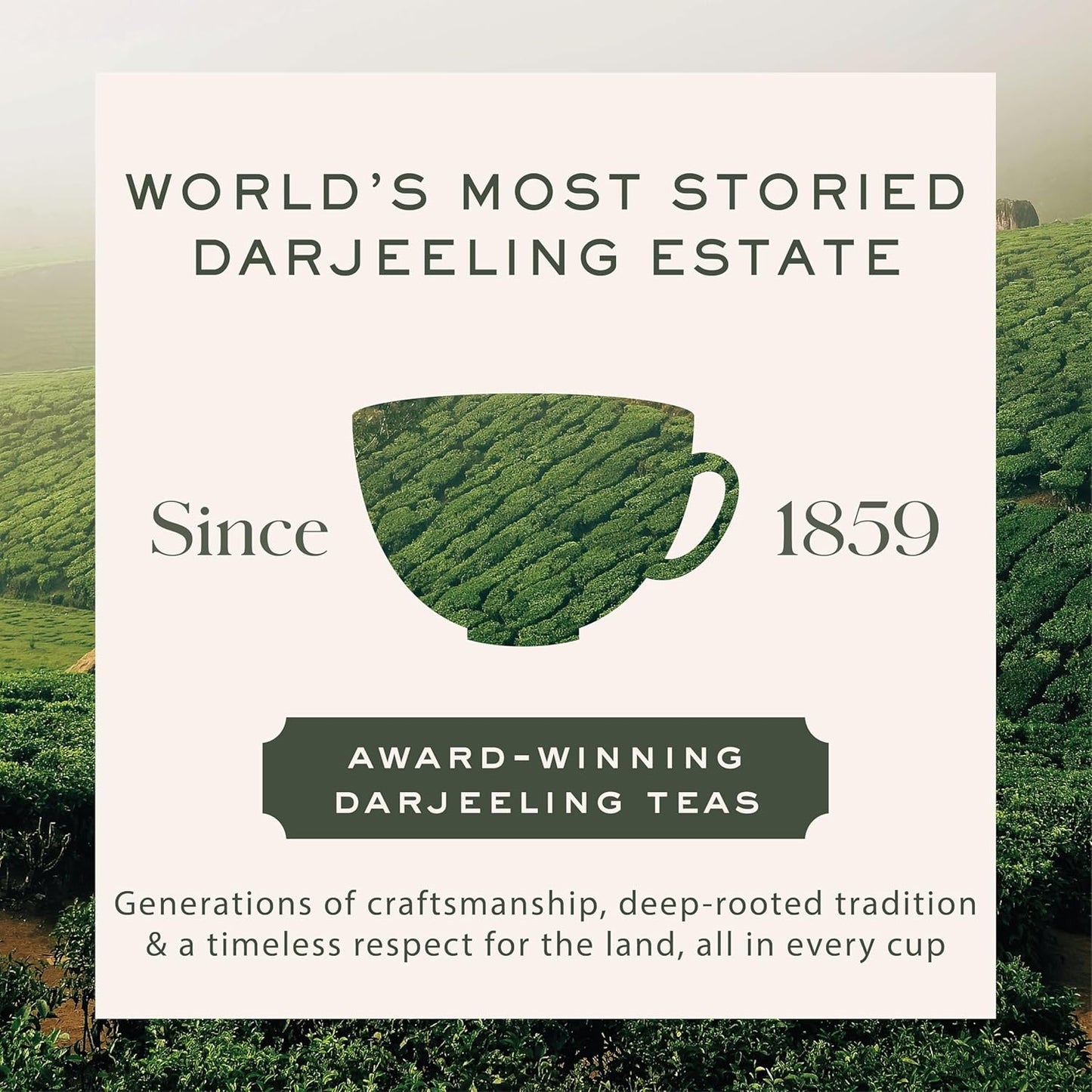 Makaibari Darjeeling Black | 250 gm