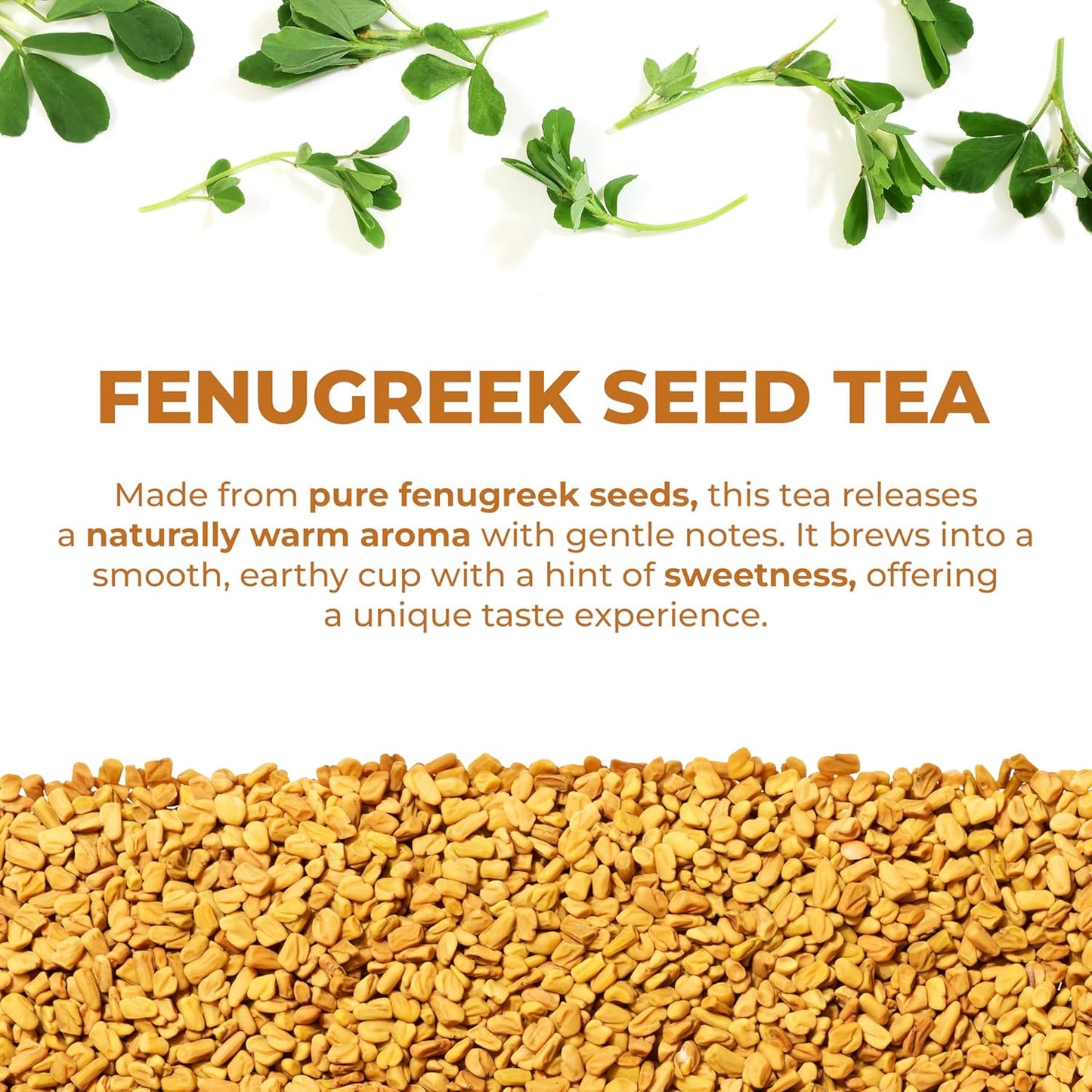 LeafLea Fenugreek Tea Bags, Pure Fenugreek Seed Herbal Infusion, 40 Count | 100% Pure Fenugreek Seeds, Fenogreco Tea, Nutty Maple-Like Flavor, Caffeine-Free, Vegan, Individually Foil-Wrapped