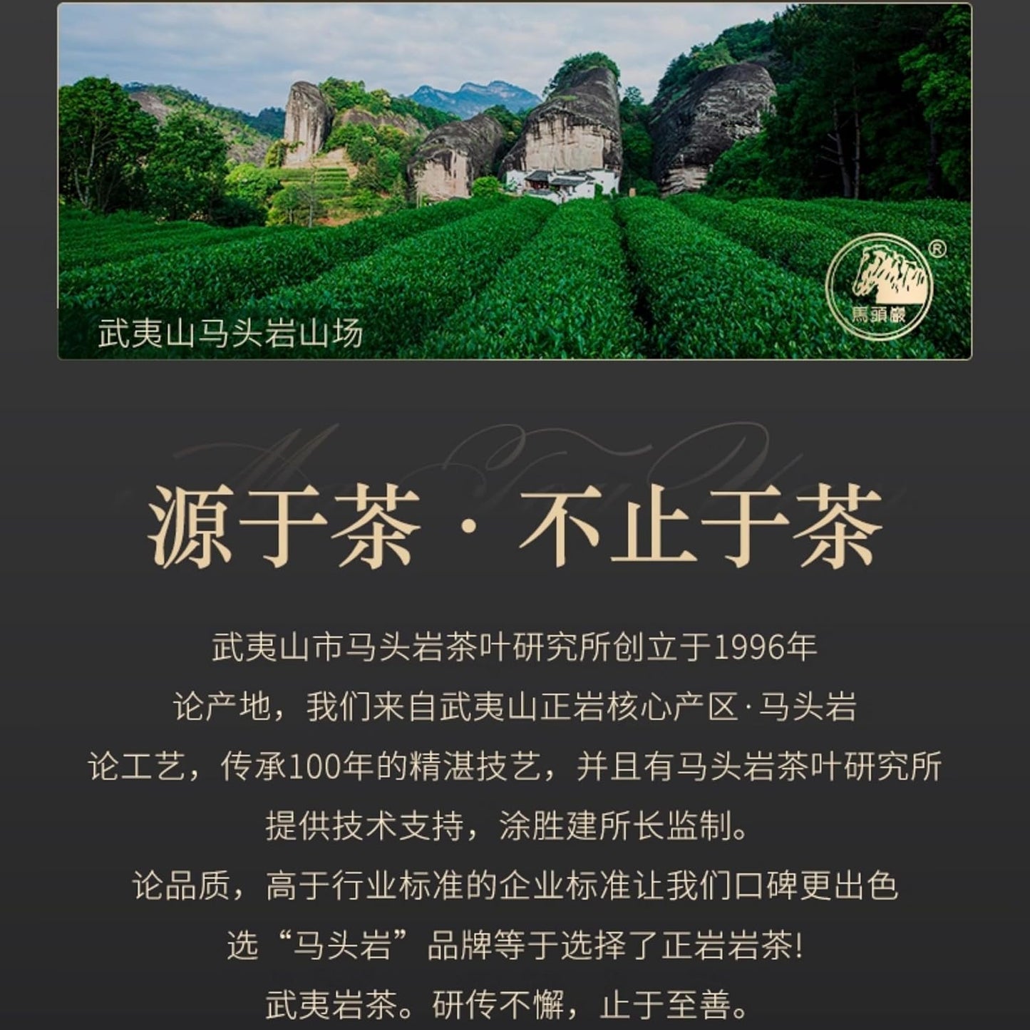 武夷岩茶– Ma Tou Yan Rou Gui, Osmanthus Aroma, 100g (Black Tin)