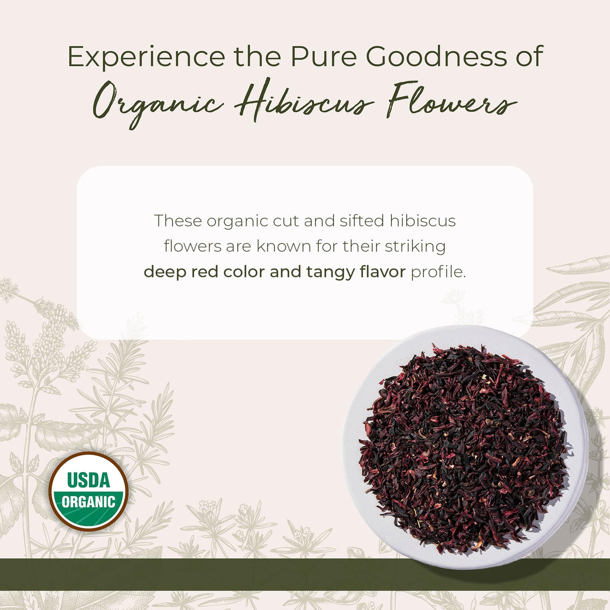 Starwest Botanicals Organic Hibiscus Flowers - Bulk 1 lb Bag (Pack of 2)