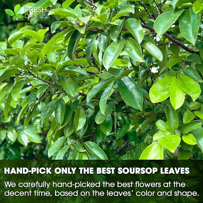 4.5oz Premium Soursop Leaf Powder – 100% Pure & Natural, Graviola Leaves for Tea, Handmade, Cake Color Making, Non-GMO, Caffeine-Free, No Additives