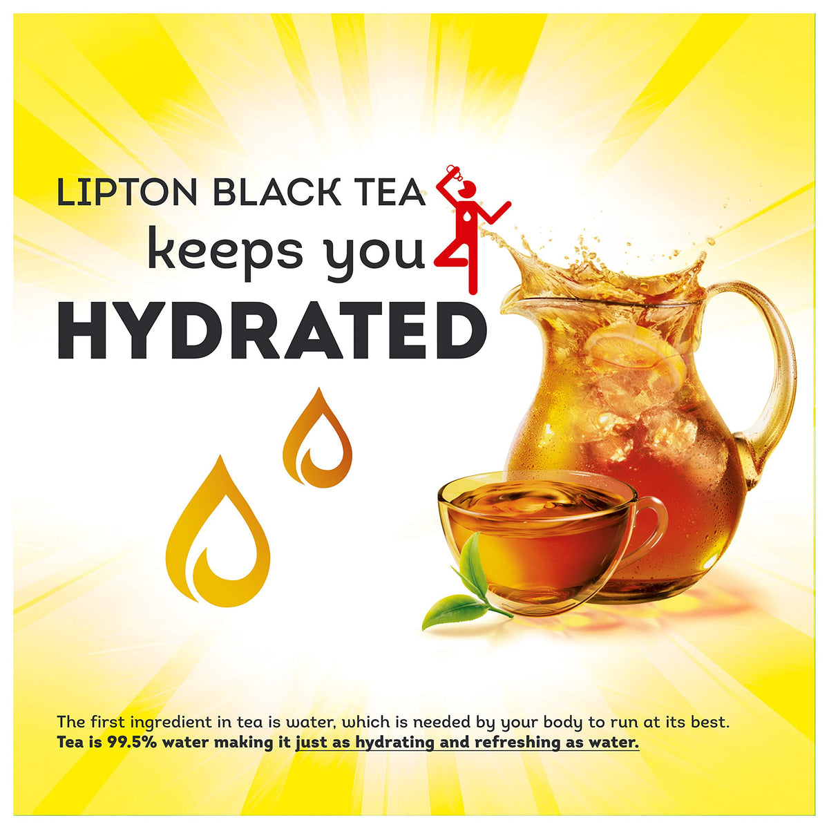 Lipton Family Sized Iced Tea Bags 48 ct.
