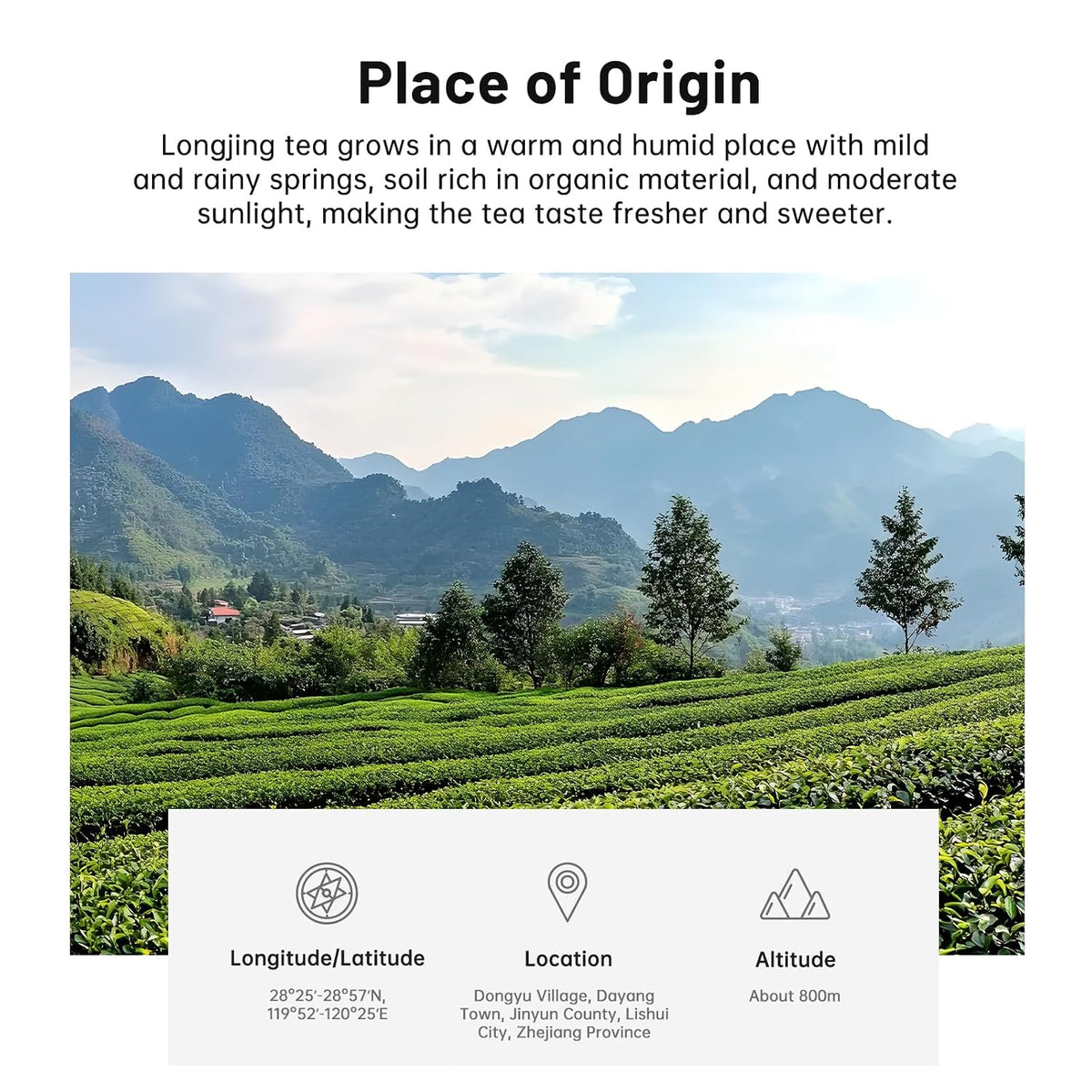 iTeaworld LongJing,Chinese Loose Leaf Green Tea,Dragon Well Tea 3.5oz