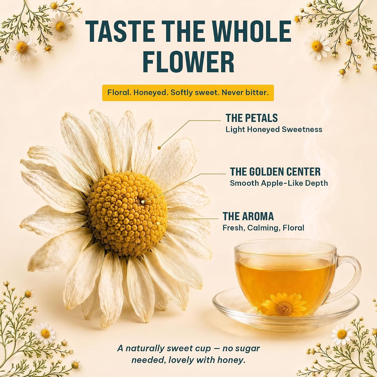 Organic Chamomile Tea — 100 Tea Bags | Organic Herbal Tea From Single Origin | Eco-Friendly Tea Bags | Non-GMO Caffeine Free Tea With Zero Sugar | Cederberg Tea Company
