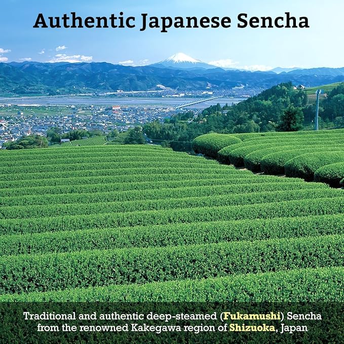 SUGIMOTO TEA Japanese Sencha Green Tea Loose Leaf 3.5 oz (100 g) Pack of 3