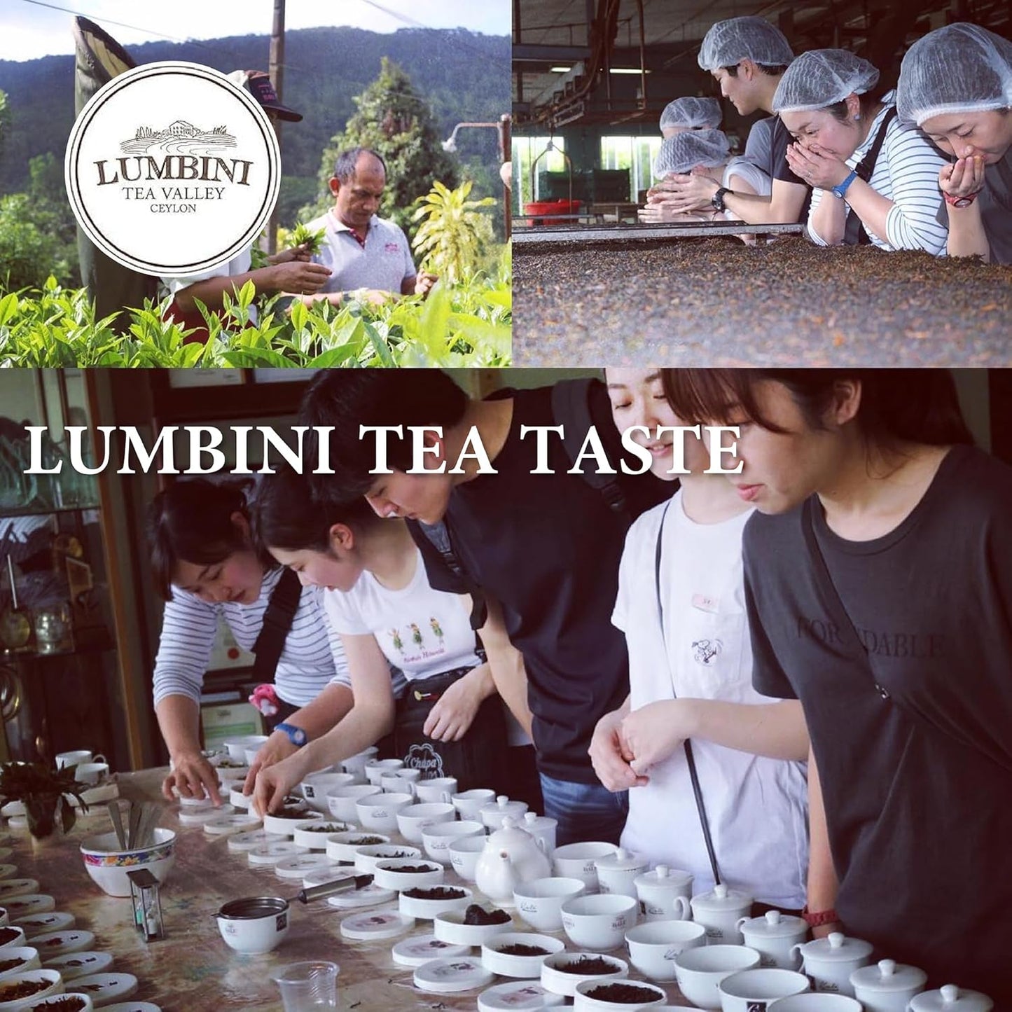 Lumbini Ceylon Black Tea BOP Loose Leaf | Single Origin Sri Lanka Rainforest Tea | Smooth & Balanced Flavor | Includes Wooden Tea Spoon (200g (1pack))