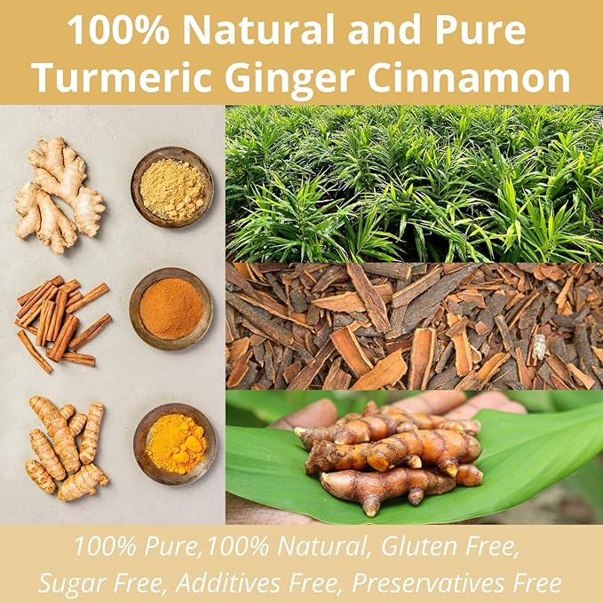 50 Premium Turmeric Ginger Cinnamon Tea Bags, Vitalforest Natural Ginger Tea Bags, Pure Turmeric Tea, Herbal Cinnamon Tea, Supports Digestion