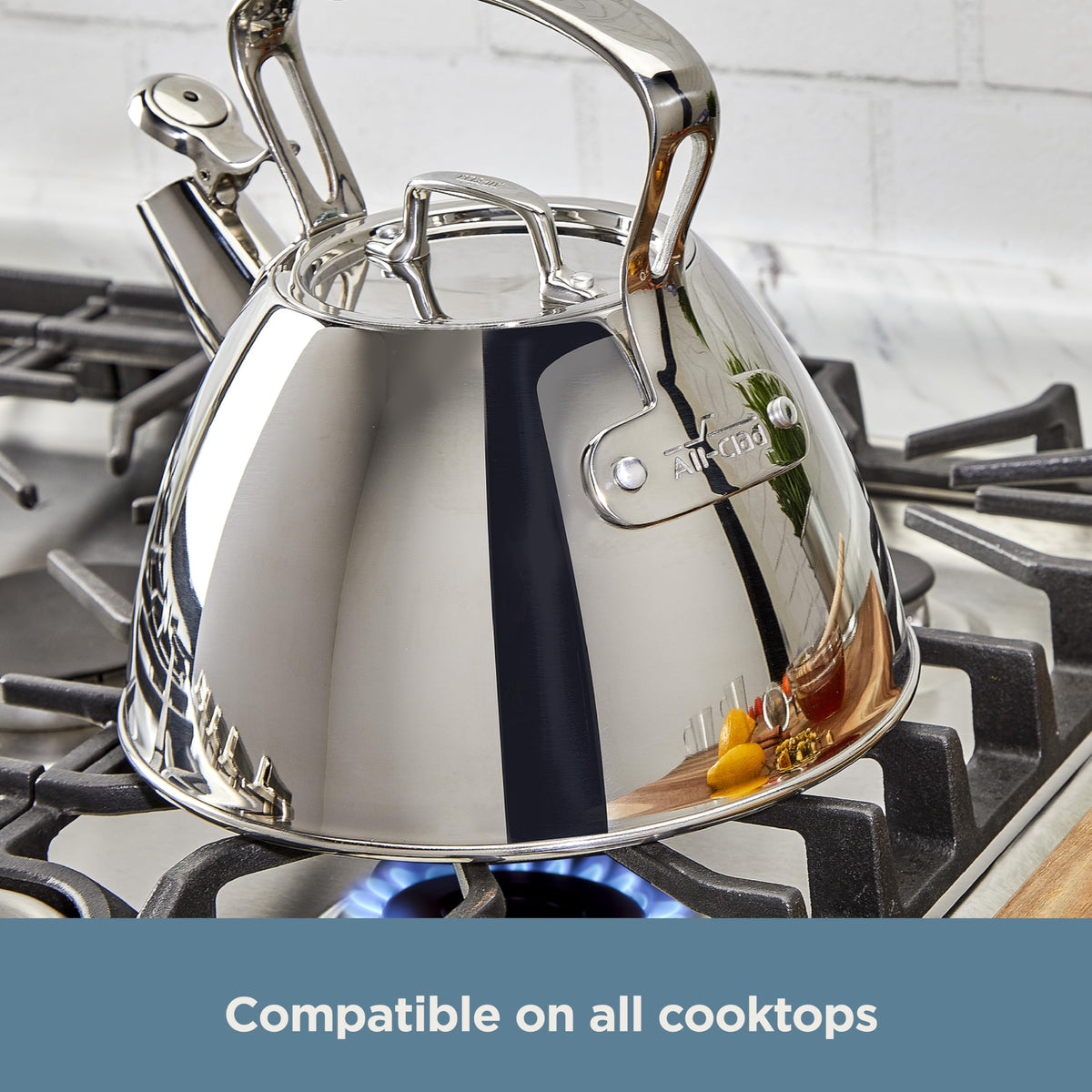 All-Clad Stainless Steel 2 Qt Stovetop Tea Kettle