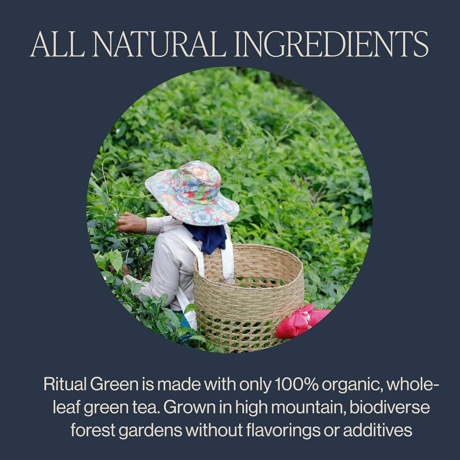 Rishi Tea Ritual Green Tea - Organic Sachet Bags, Pure Green Tea, Energizing & Caffeinated - 15 Count (Pack of 1)