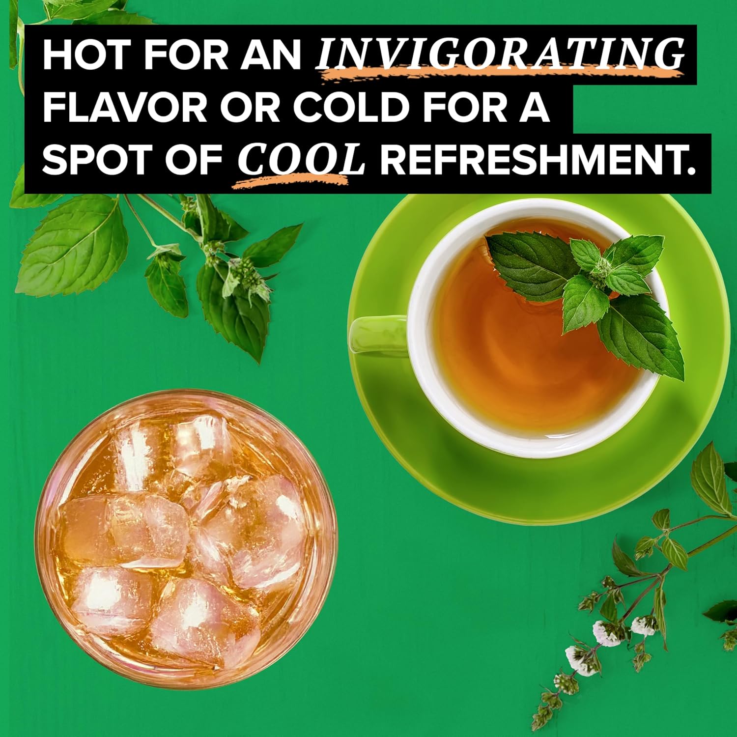 TAZO Organic Refresh Mint Herbal Tea Bags with Peppermint and Spearmint, Caffeine Free, 16 Total Tea Sachets
