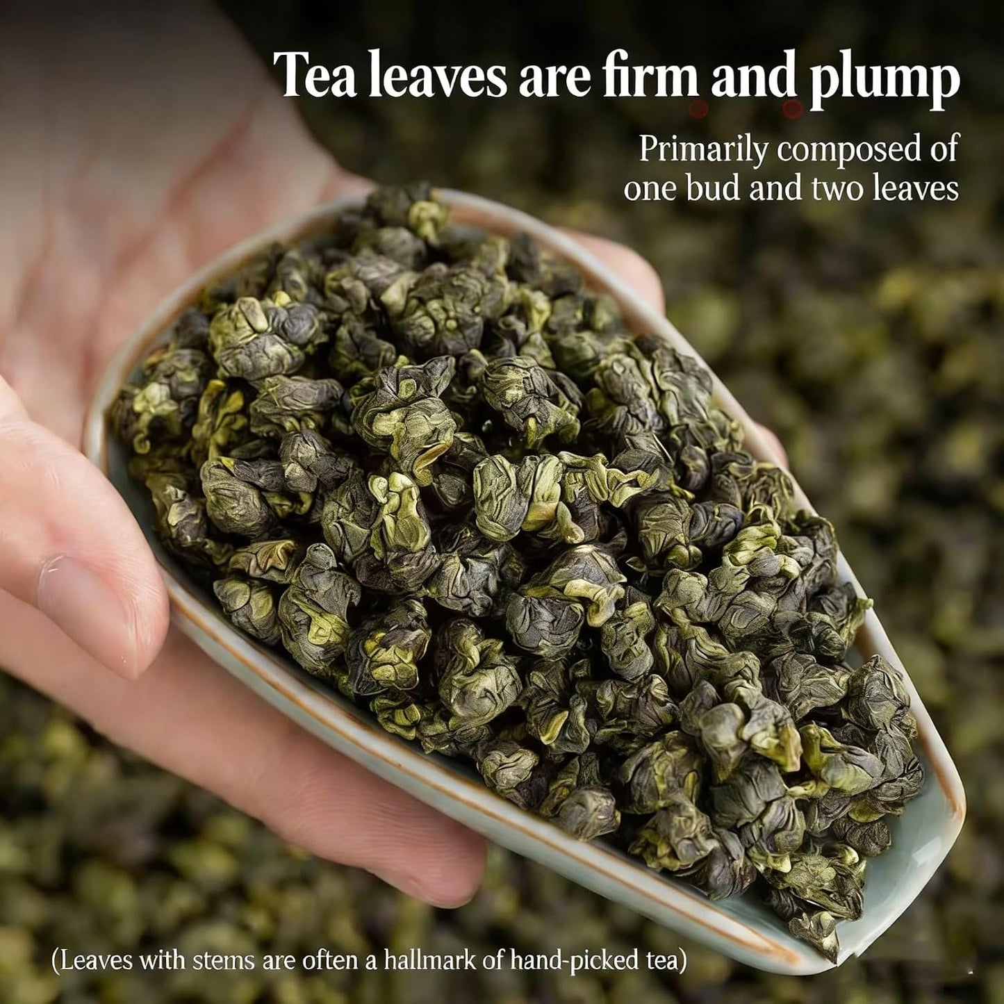 NASLAPH Alishan Oolong Tea, Taiwan High Mountain Oolong Tea with Distinctive Aroma, Formosa Chinese Gaoshan Ulong Tea, Traditional Craftsmanship 阿里山茶 台湾高山茶 中国茶 茶 乌龙茶 8.82 Oz