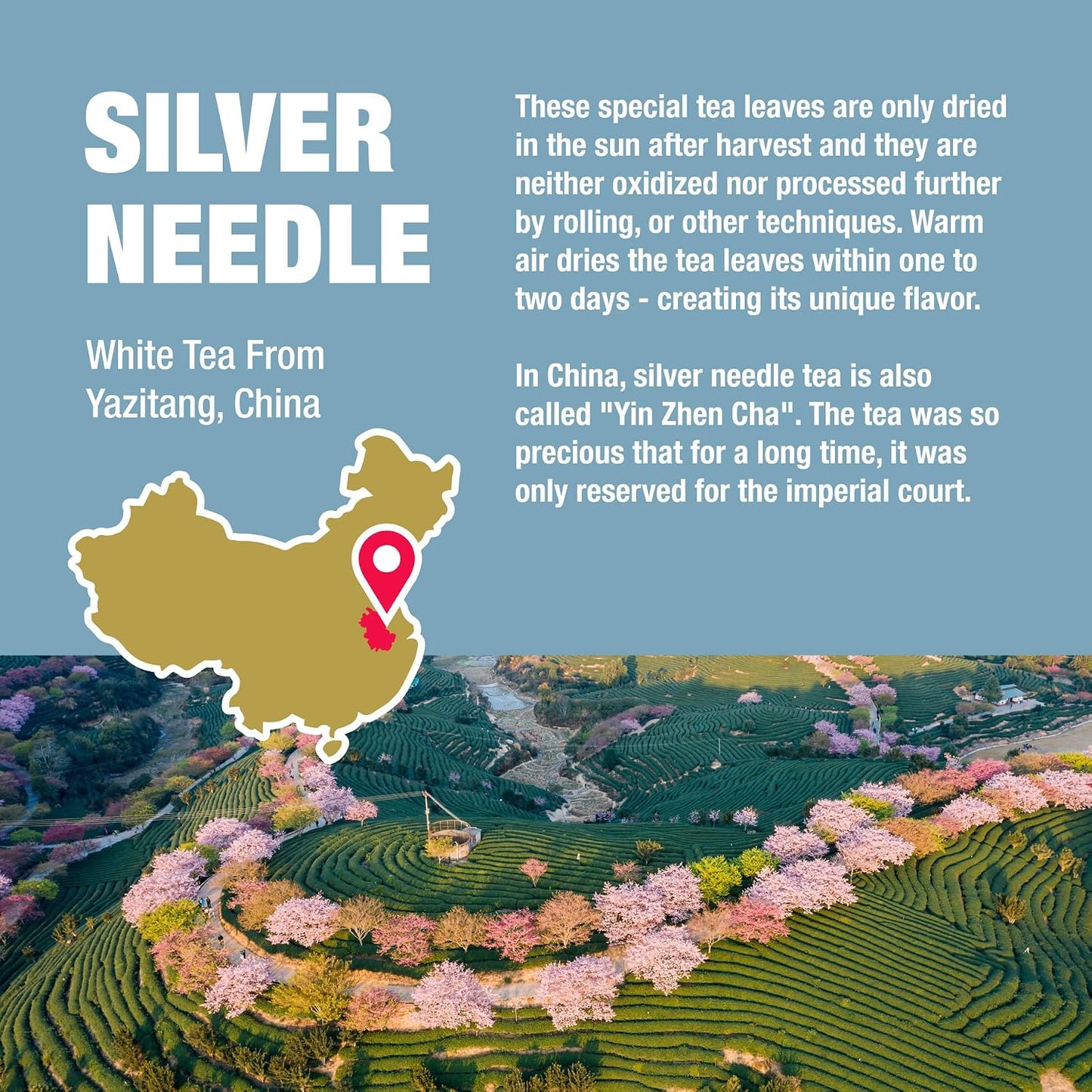 Tiesta Tea Silver Needle White Tea – Premium Loose Leaf | Single-Origin from China, Pure Unblended Low-Caffeine Tea, Hot or Cold Brew, 2.5oz Refillable Tin, Brews 50 Cups