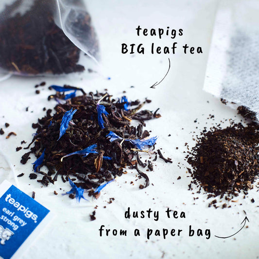 teapigs, Earl Grey Strong Black Tea, Made with Whole Leaves, Whole Leaf Tea Temples, 50 Count, Pack of 50, Bold, Bergamot-Forward Flavor