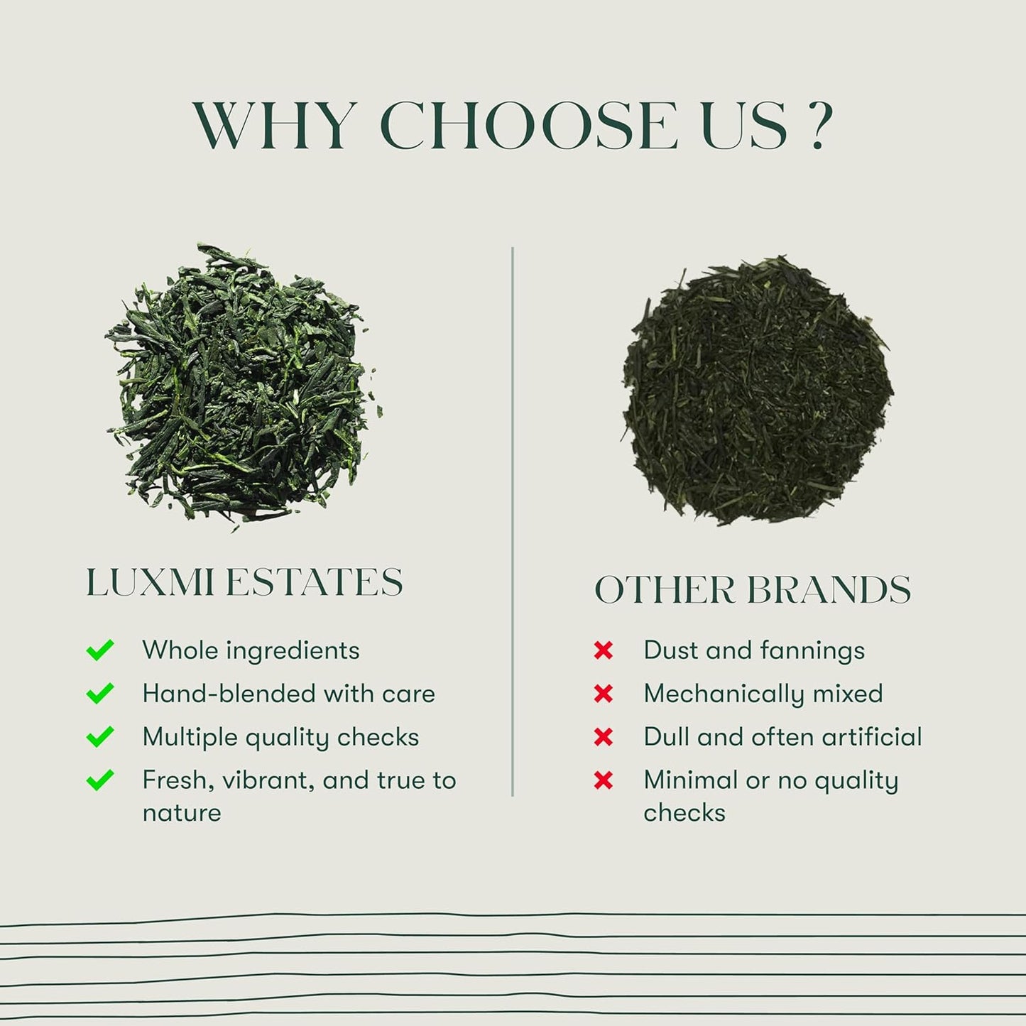 Luxmi Estates Japanese Sencha Green Tea 50g/1.76oz (25 Cups)|Authentic First Flush Sencha Loose Leaf|Mild Rich & Refreshing