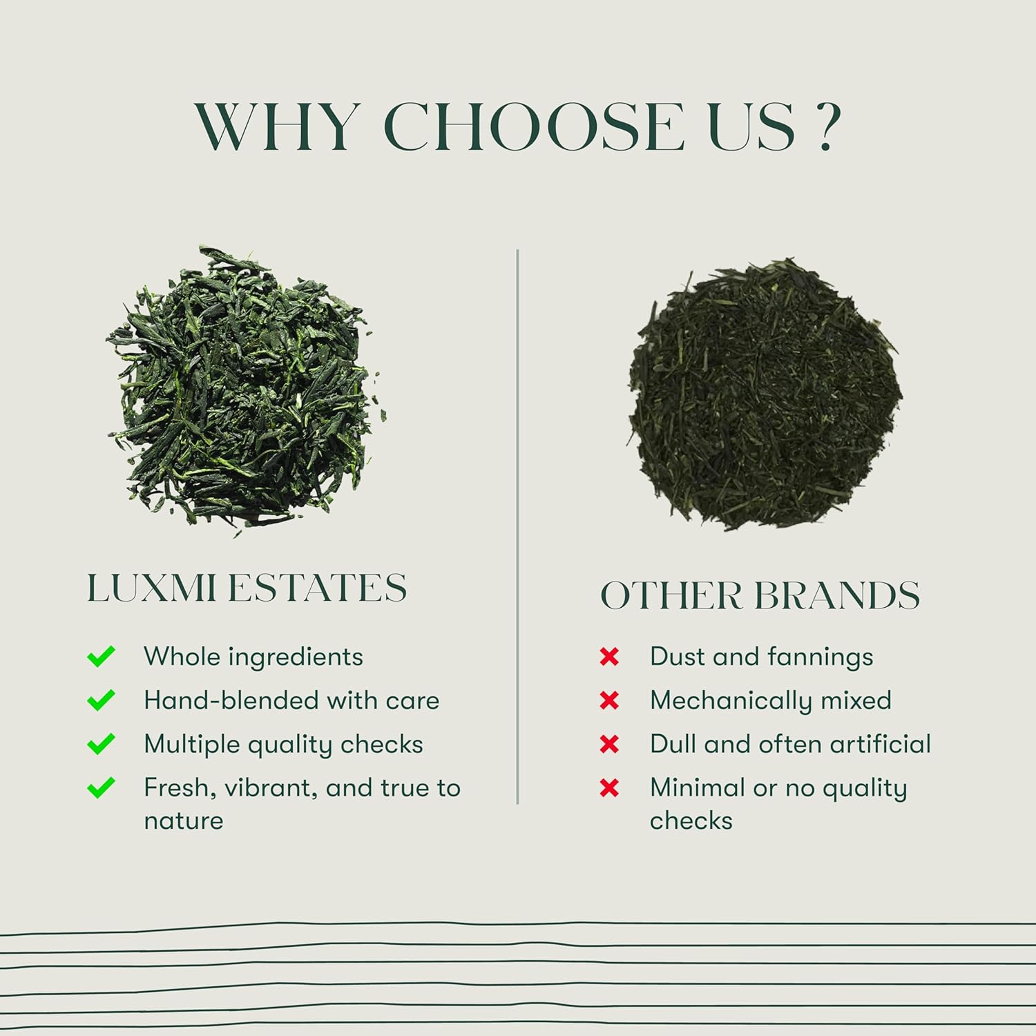 Luxmi Estates Japanese Sencha Green Tea 50g/1.76oz (25 Cups)|Authentic First Flush Sencha Loose Leaf|Mild Rich & Refreshing