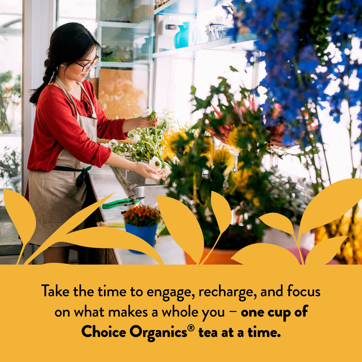 Choice Organic Teas Choice Organics Mandarin Ginger Tea, 16 Tea Bags (3 Pack)
