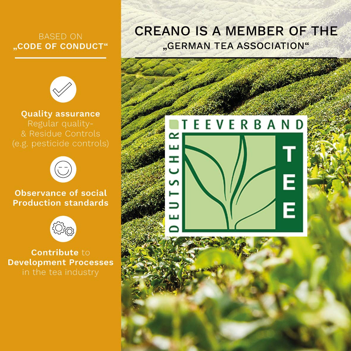 Creano Tea Flowers in Cup Size - Blooming Tea - 8 Flowering Tea in 4 Different Varieties - White Tea