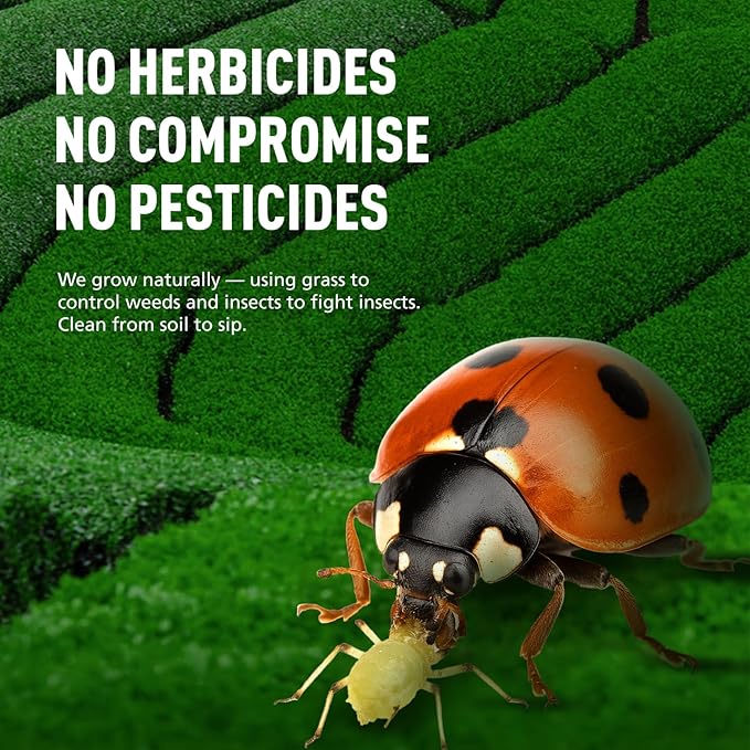 Emerail Ceremonial Grade Matcha Green Tea Powder, Premium First Harvest Unsweetened, 100% Pure Matcha for Lattes, Smoothies, and Baking (60g / 2.1oz)