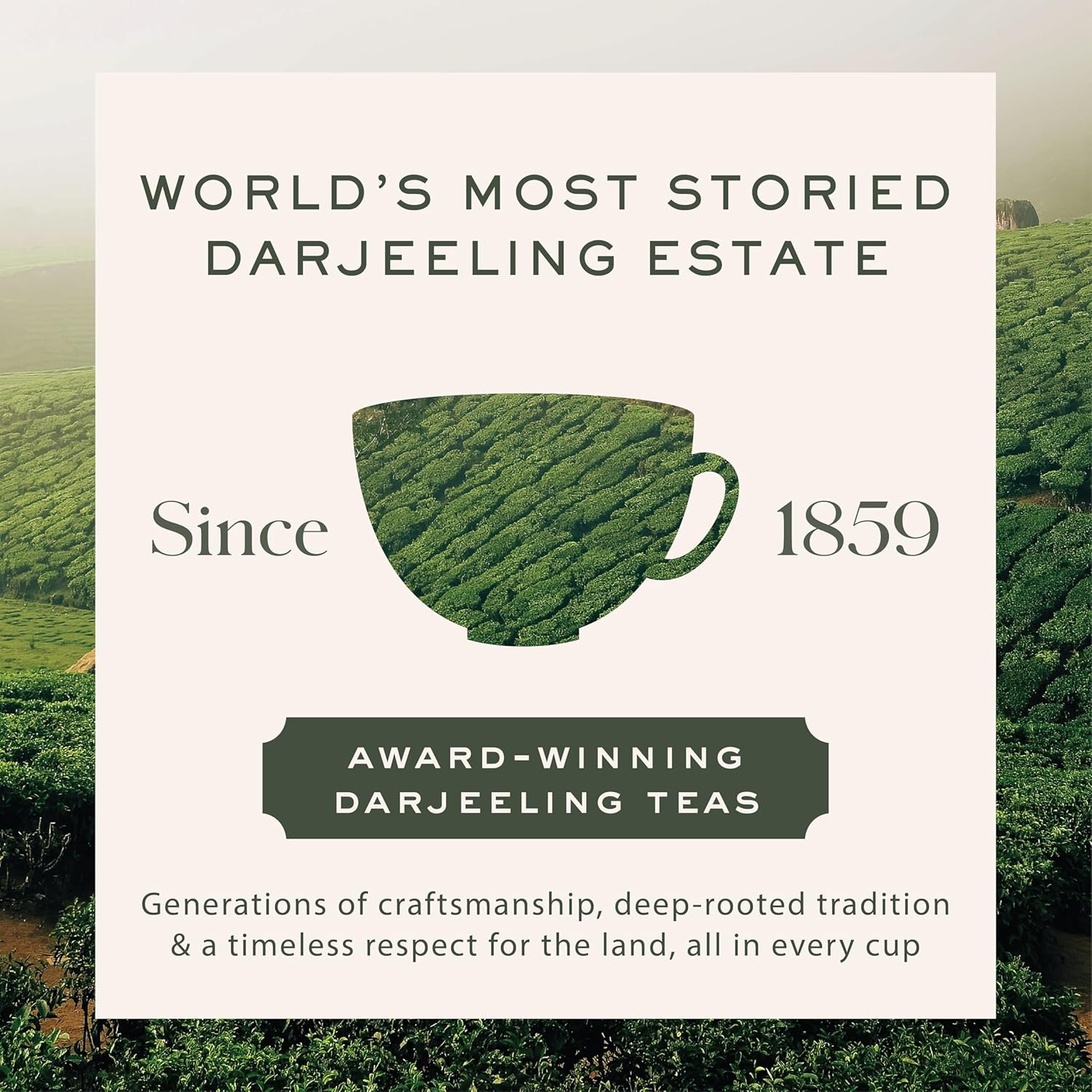 Makaibari Summer Solstice Muscatel, Organic Darjeeling Second Flush 25 Teabags