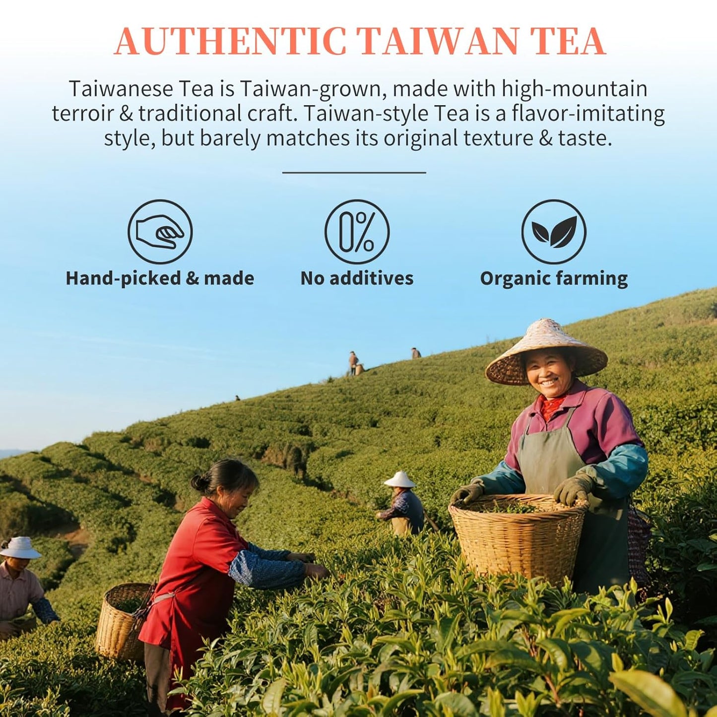 CHADUO White Peach Tea Peach Oolong Tea taiwan oolong tea Loose Leaf High Mountain Tea 5.3oz 蜜桃乌龙茶 台湾茶 高山烏龍茶