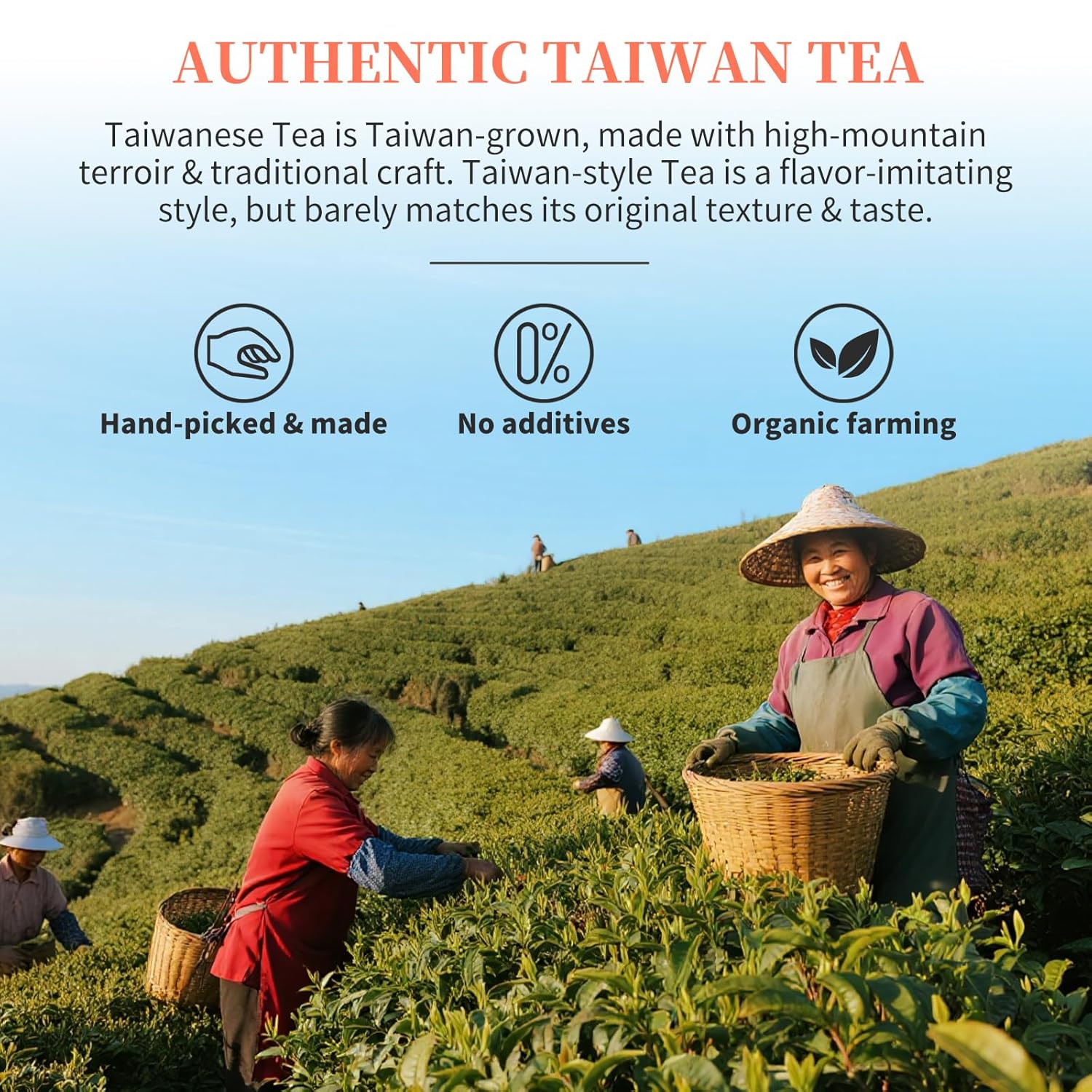 CHADUO White Peach Tea Peach Oolong Tea taiwan oolong tea Loose Leaf High Mountain Tea 5.3oz 蜜桃乌龙茶 台湾茶 高山烏龍茶