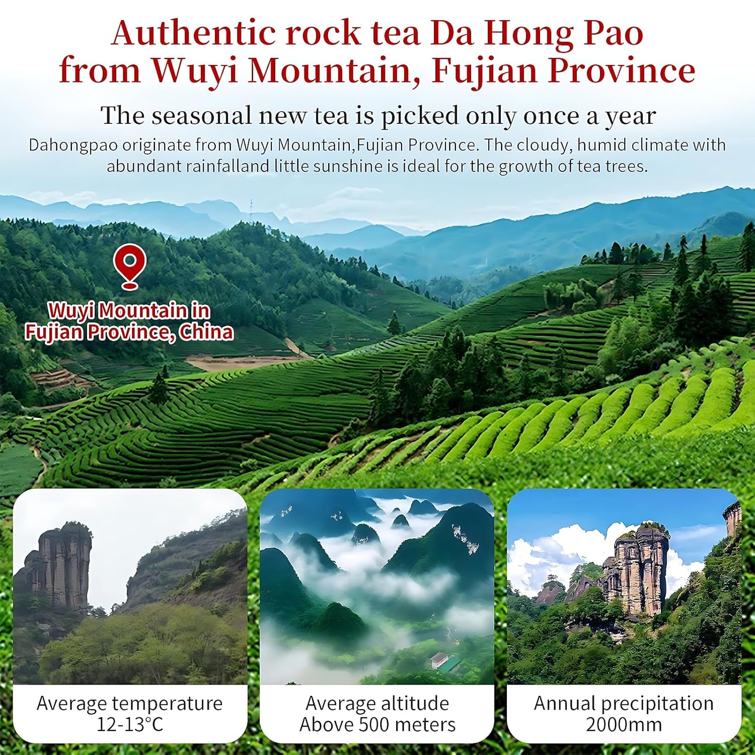 CHADUO Dahongpao Oolong Tea 4.23oz/120g Big Red Robe Tea Da Hong Pao Loose Leaf Chinese High Mountain Wu Long Tea, Strong Floral Flavor, Top Grade 特级大红袍 武夷正岩茶 乌龙茶