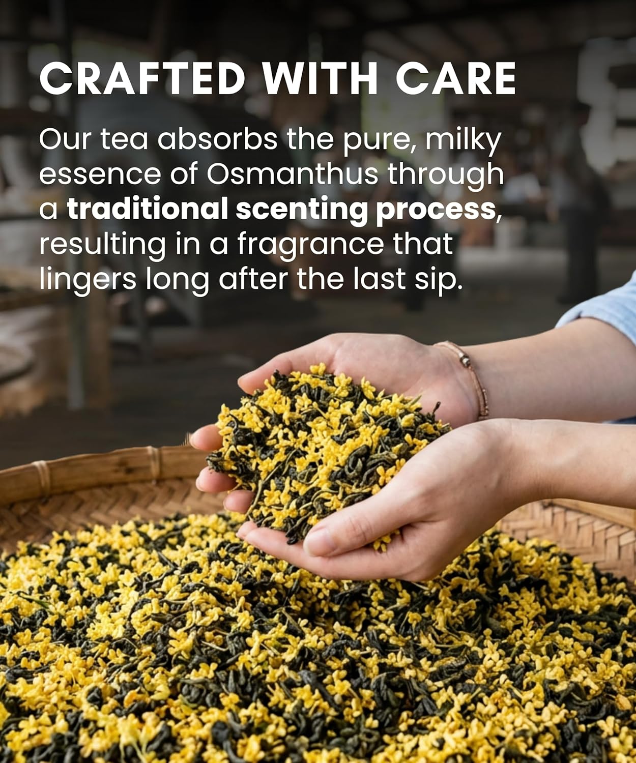 Premium Osmanthus Jin Xuan Oolong Loose Leaf Tea 1.76oz (50g) Taiwan High Mountain Tea, Natural Milky Aroma, Real Osmanthus Scented, Vacuum-Sealed for Peak Freshness, Serving 17-25 Cups