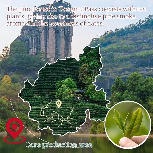 Lingyunxi Smoky Lapsang Souchong Tea Black Tea Loose Leaf Wuyi Mountain Chinese Tea| Pine Smoke&amp;Longan Aroma Mellow Taste| No Bitter| Picked in Spring| Fully Fermented Tea 4.23oz/120g 正山小种 红茶 烟熏正山小种