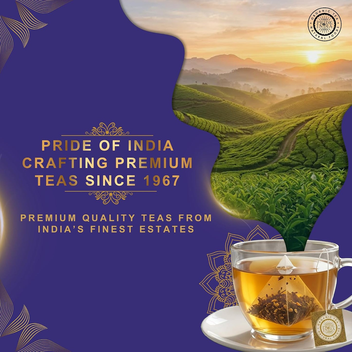 Pride of India Earl Grey Bergamot Black Tea - 30 Pyramid Tea Bags (2 PACK) | Individually Wrapped Full Leaf Assam Tea with Natural Bergamot Extract | Smooth Citrusy Malty Brew, Medium Caffeine