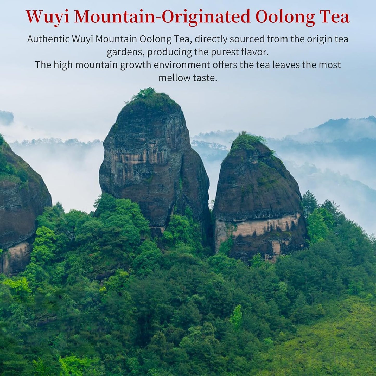 Yuexi Rougui Cinnamon Oolong Tea Loose Leaf Rock Tea Rock Oolong Tea Da Hong Pao Tea Dahongpao Wuyi Oolong Tea Chinese Tea肉桂茶 肉桂岩茶 大红袍 武夷山岩茶 乌龙茶 4.23oz/120g