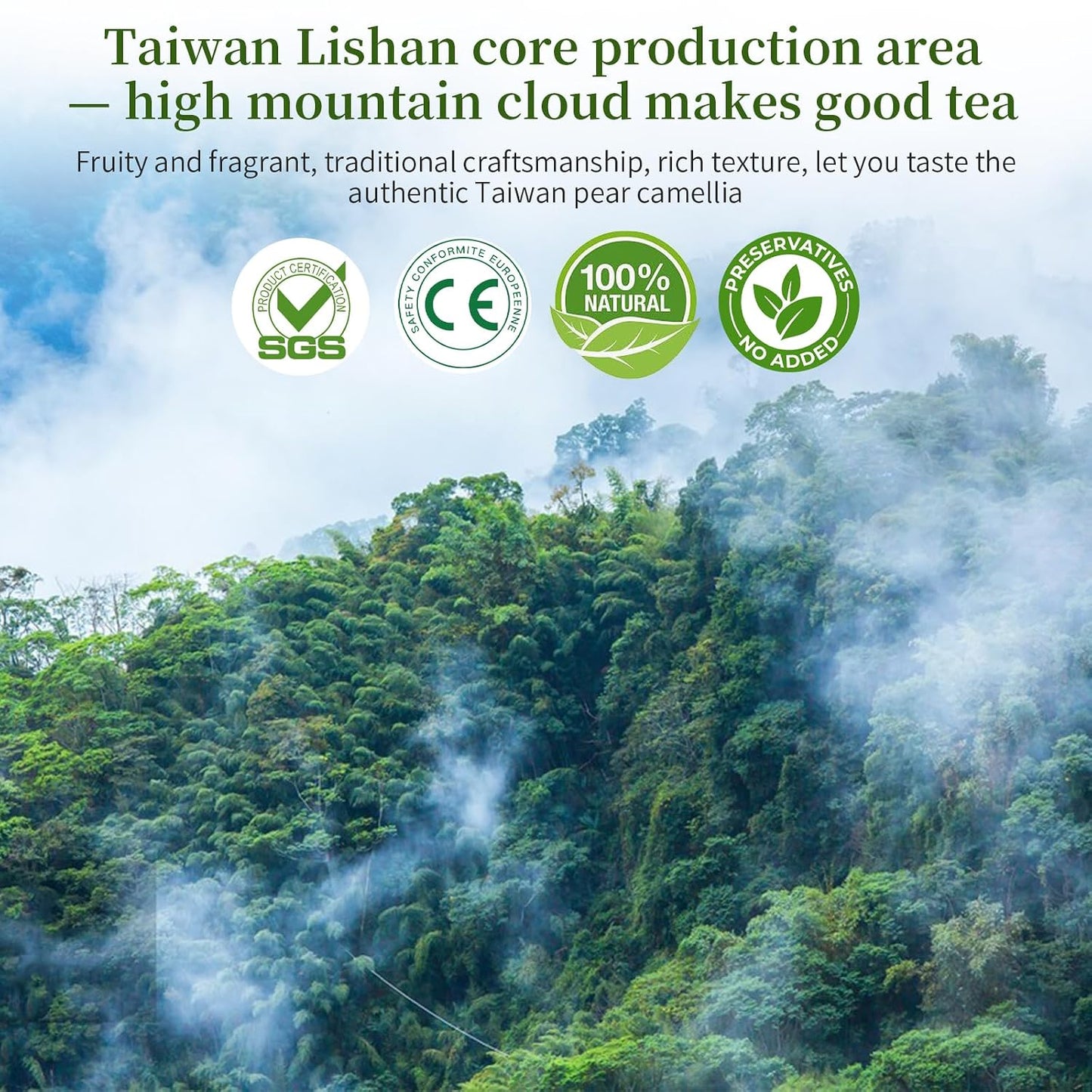 XIXICHA Lishan Oolong Tea Taiwan High Mountain Oolong Tea Loose Leaf Taiwan Lishan Tea Taiwaness Gaoshan Ulong Tea Formosa （120 cups）梨山茶 梨山高冷茶 台湾茶 台湾高山茶 乌龙茶 5.3oz/150g