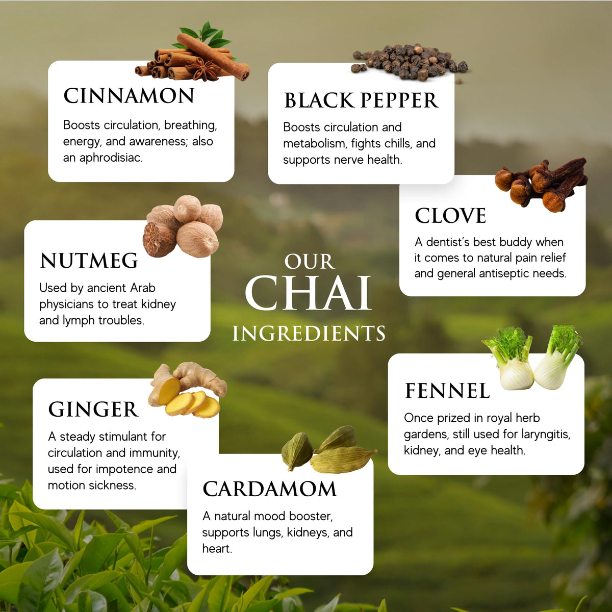 Third Street Chai Third Street Inc. Organic Dragon Tongue Ginger Chai Concentrate, 32 Fl. Oz.