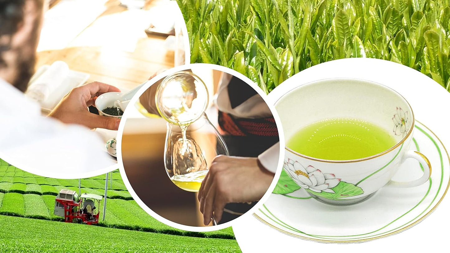 30 Packs 八女茶 Brand [Japanese Gyokuro Green Tea Bags] Green (Koisuru Yamecha) Gyokuro 100% Yamecha Japanese Gyokuro Green Tea Bags