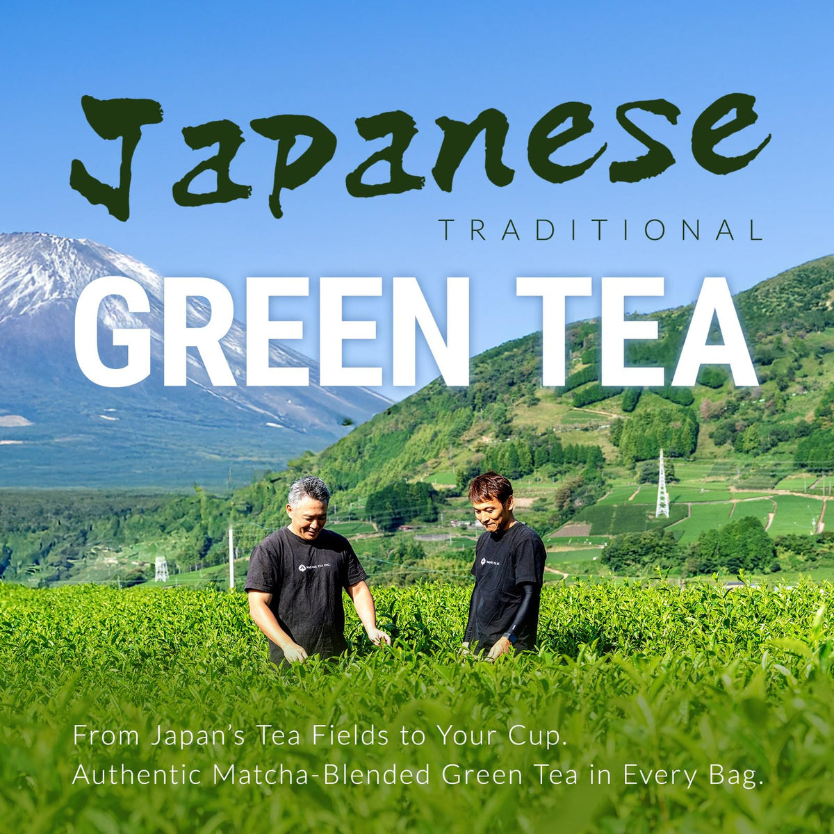 NAKANE TEA INC. Organic Matcha Blended Japanese Green Tea Bags, 100 Count – Grown in Japan, USDA Organic