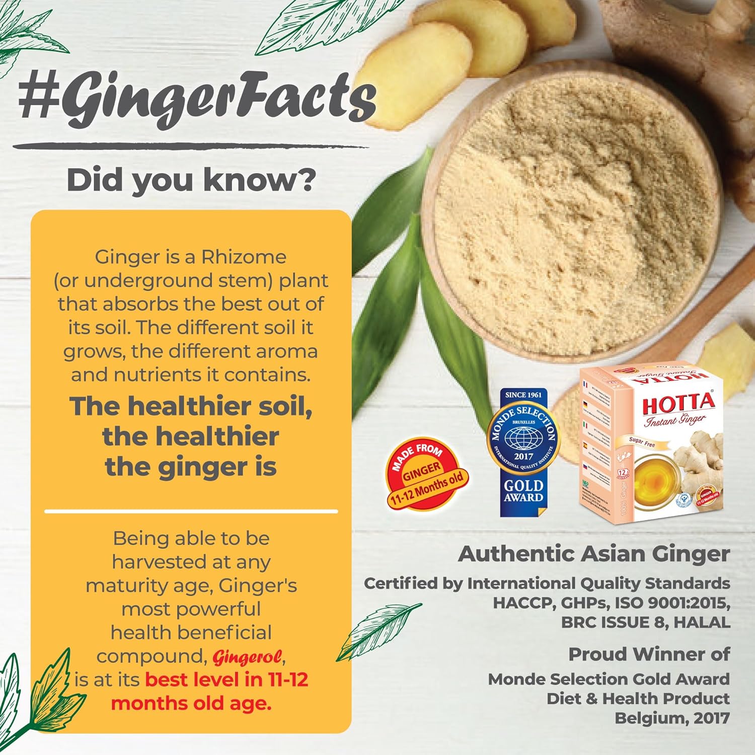 HOTTA Instant 100% Ginger Drink Powder, No Sugar, Bold & Spicy, Caffeine-Free Herbal Tea, Easy to Brew, Enjoy Hot or Cold, Real Thai Ginger, 12 Sachets