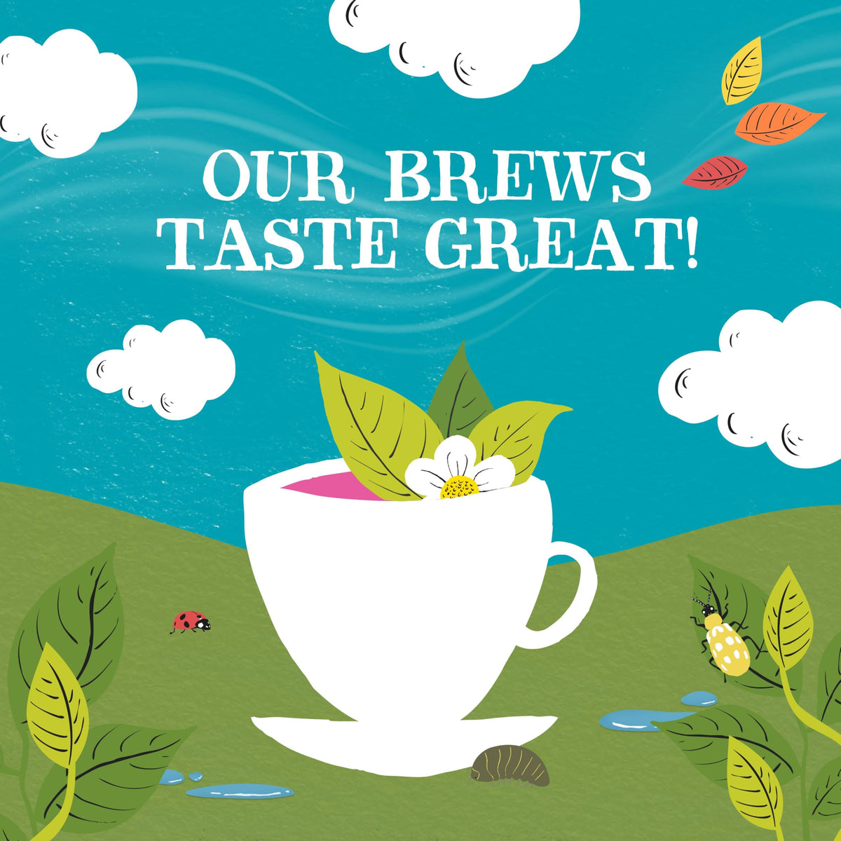 Clipper Tea Clipper Organic Herbal & Green Tea Sampler Box, 45 Tea Bags