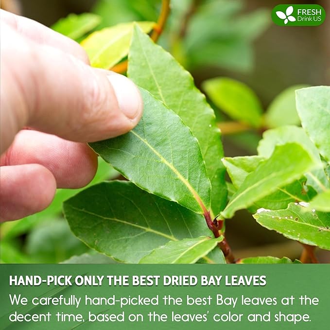 FreshDrinkUS, Premium 105 Bay Leaf Tea Bags, 100% Natural & Pure from Bay Leaves. Loose Leaf Bay Herbal Tea. Made with Natural Material Tea Bags
