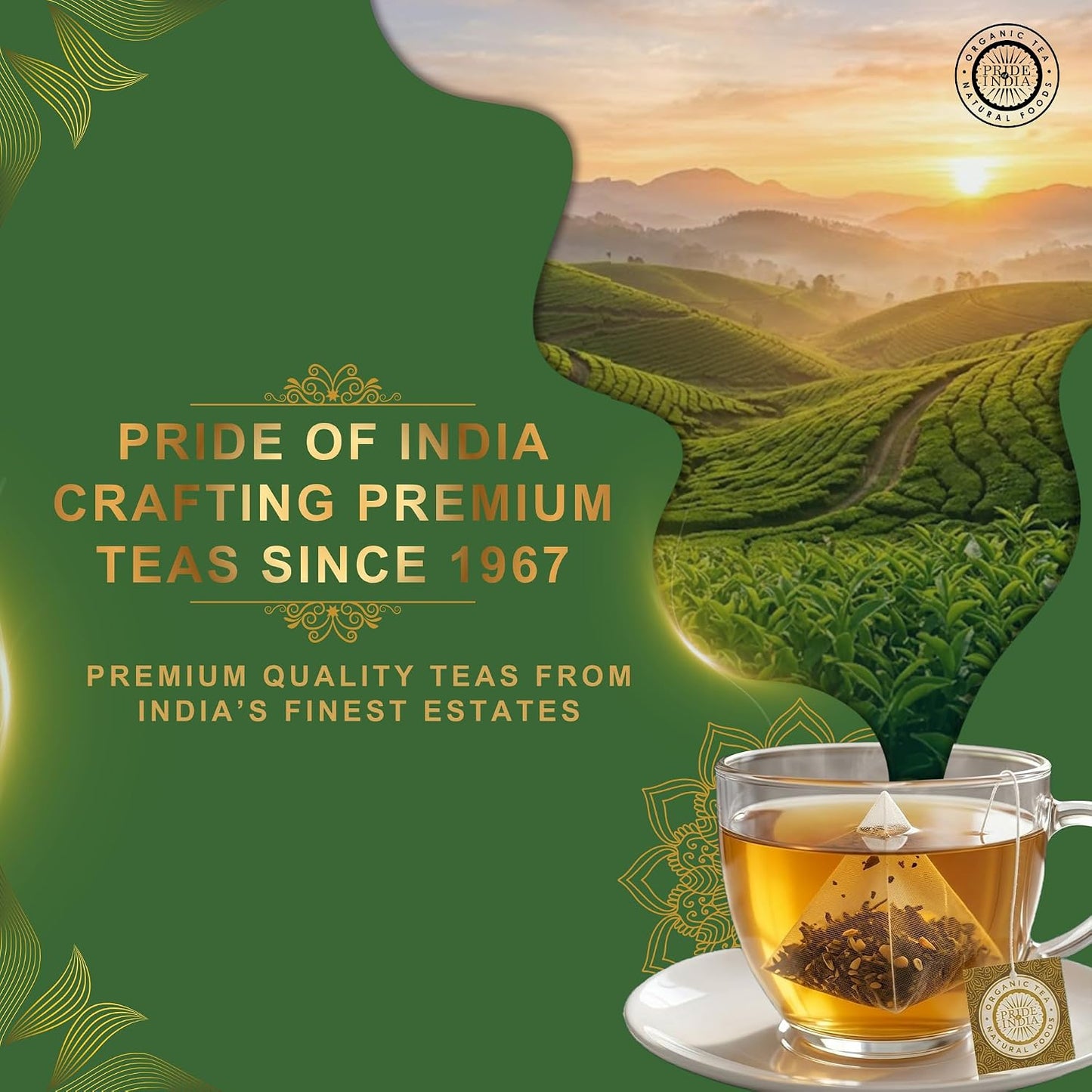Pride of India Holy Basil Herbal Tea – 30 Pyramid Tea Bags (2 PACK) | Individually Wrapped Pure Tulsi Leaf Divine Healing Tea for Daily Calm &amp; Mindful Living | Caffeine Free