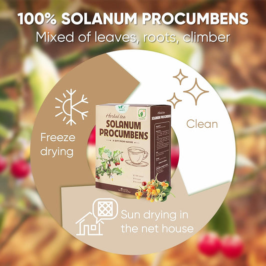 NMPT 100% Solanum Procumbens Leaf Tea, Hand Pick, Cà Gai Leo Organic Herbal Tea, 40 Count, Freeze Drying, Gluten Free, Dairy Free, No Sugar Added, Energy Boost &amp; Health Support, 0.07 Oz Each
