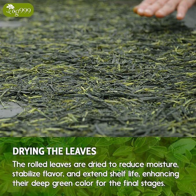 TOG999, Premium 120 Sencha Green Tea Bags, 100% Natural & Pure from Sencha Green Tea Leaves. Loose Leaf Sencha Herbal Tea. No Sugar, No Gluten, Vegan.