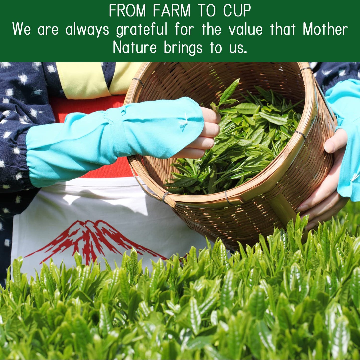 Otsuka Green Tea Co - Kakegawa Deep Steamed Sencha (Award-Winning Japanese Green Tea) 100g - Directly Imported from Japan